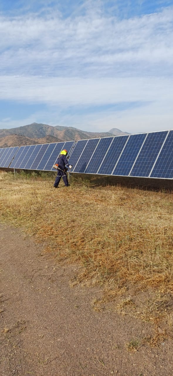 Desmalezado manual bajo estructuras solares